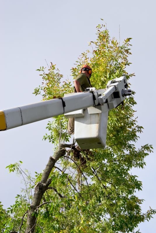 Safely lifts workers to high areas.